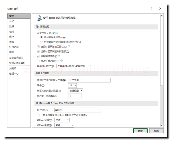 Office 2021 选项1