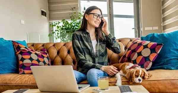 office-insider-program-700x367-1