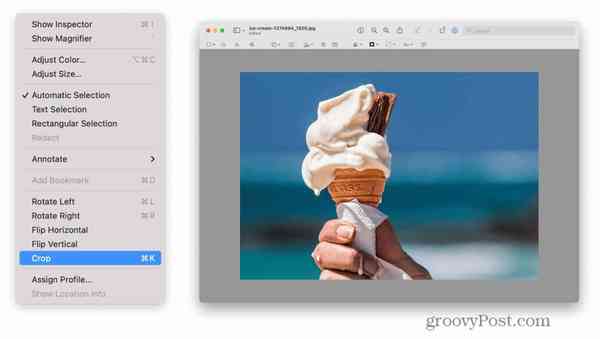 preview-cropped-image-2