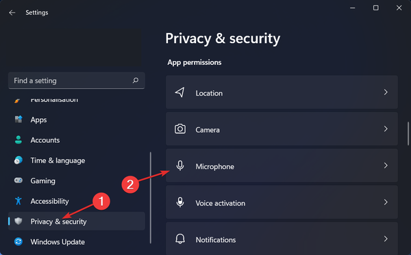 privacy-mic