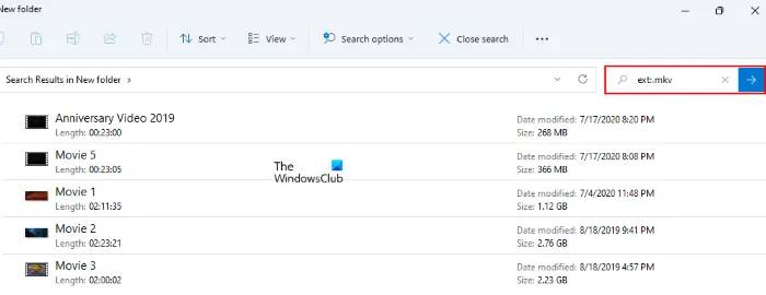 search-video-files-with-specific-format