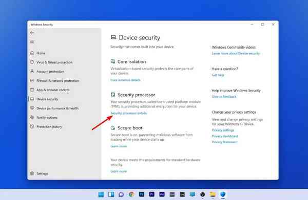 security-processor-details