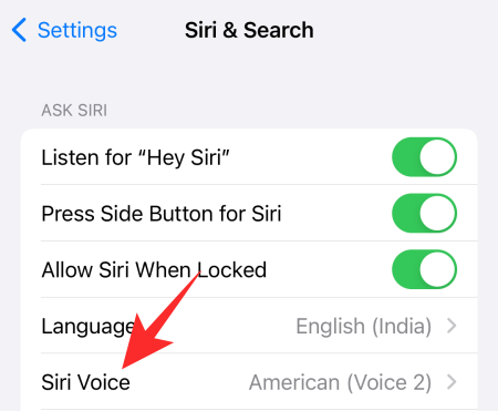 siri-02 siri-02