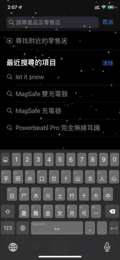 snow02-473x1024-1