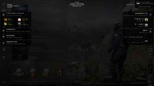 steam-w11 steam-w11