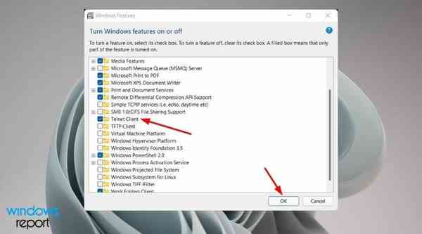 telnet-client-windows-11