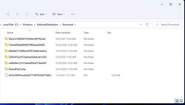the-download-data-folder