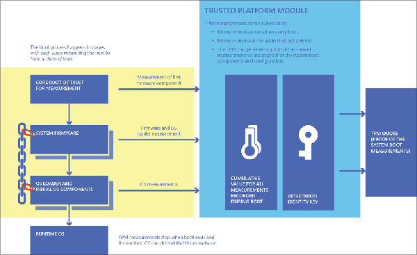 tpm-chart-1 tpm-chart-1