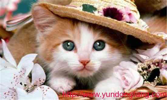 u=1657233897,1920801369&fm=21&gp=0