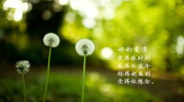 u=2831877064,328175234&fm=21&gp=0