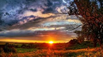 u=3102283159,2106348853&fm=21&gp=0