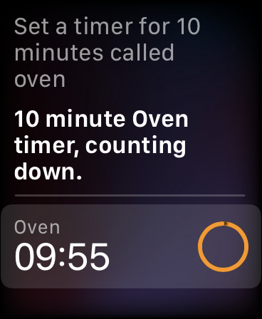 watchos_8_add_timer_siri