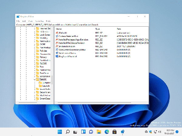 windows-11-disable-bing-search