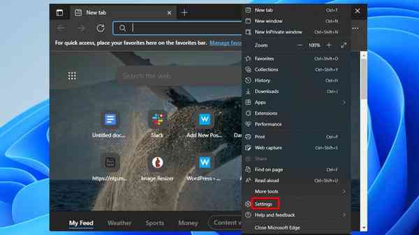 xnLiDXzPq6 xnLiDXzPq6