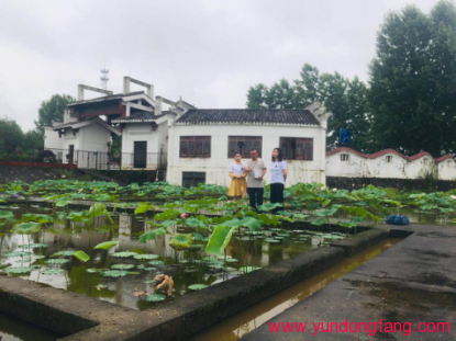 “白莲宝宝”工作室走进广昌白莲研究所