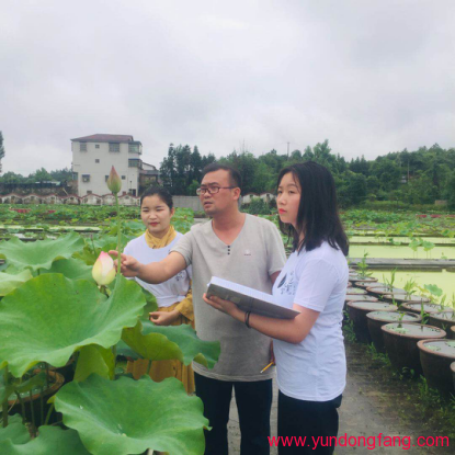 “白莲宝宝”工作室走进广昌白莲研究所