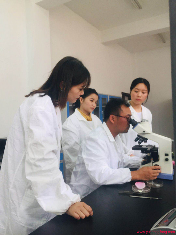 “白莲宝宝”工作室走进广昌白莲研究所