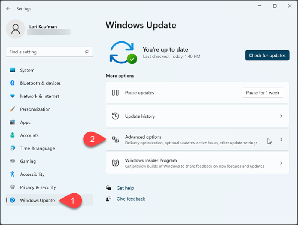 02-go-to-windows-iupdate-advanced-options-1