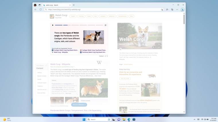 1679404987_bing-stories_story-1