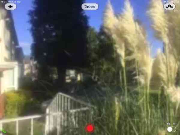 27817-42153-002-view-from-camera-xl 27817-42153-002-view-from-camera-xl