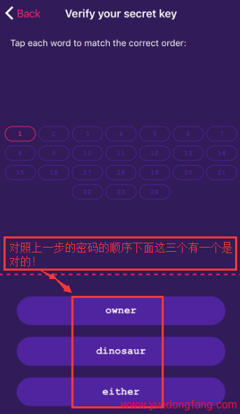 AEternity钱包怎么生成，AE手机钱包生成的方法