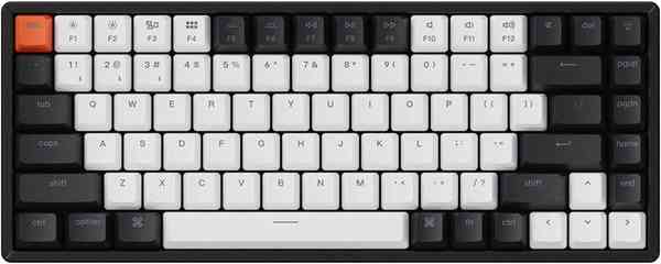 49267-96225-Keychron-K2-xl