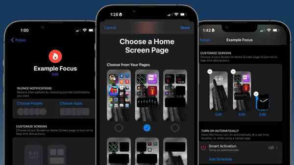 49728-97894-Choose-custom-screens-xl