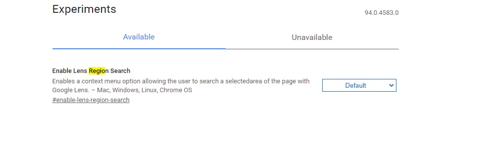 Enable-Lens-Region-Search-flag Enable-Lens-Region-Search-flag