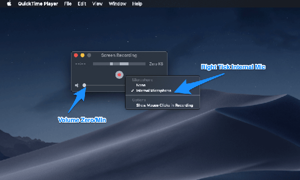Enable_Internal_Microphone