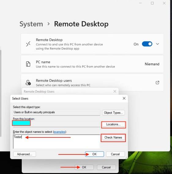 Screenshot-2021-06-29-at-10.36.30-1-1