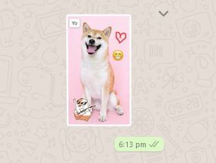 Whatsapp-web-custom-sticker Whatsapp-web-custom-sticker