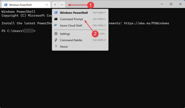 WindowsTerminal_yfynMVcuYj