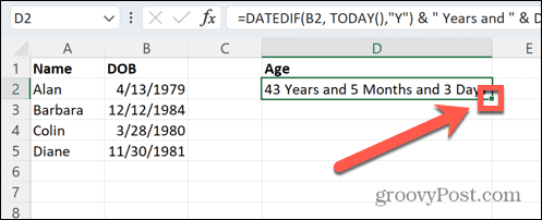 calculate-age-excel-ymd-drag-handle