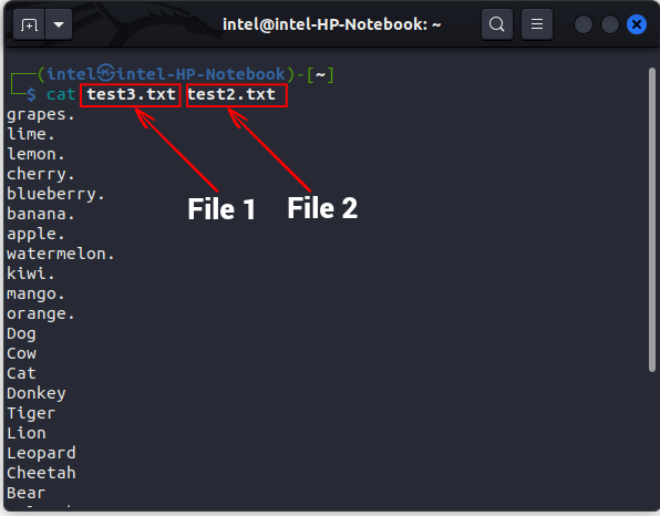 cat_multiple_files