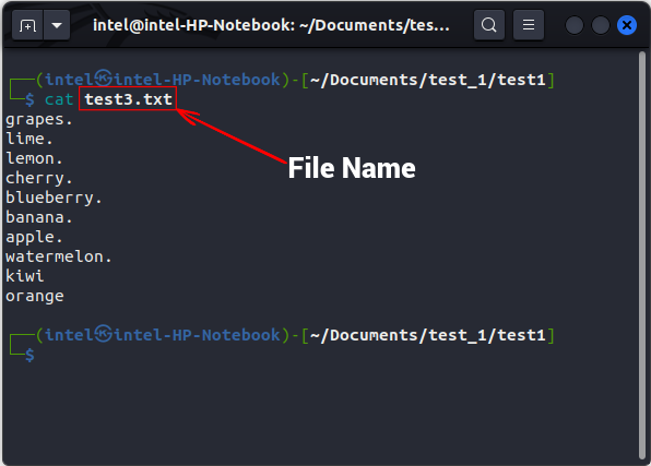 cat_single_file