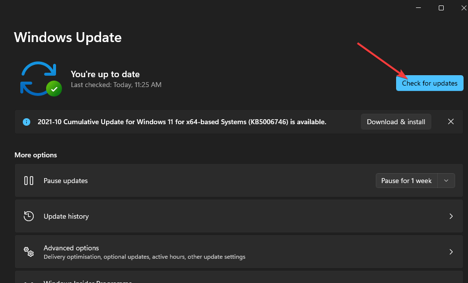 check-for-updates-button-1 check-for-updates-button-1
