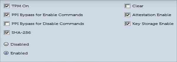 enabled-TPM-Dell