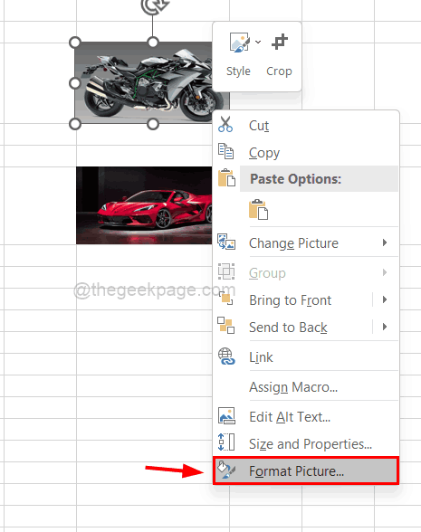 format-picture-cell_11zon