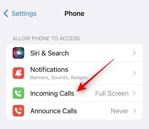 how-to-make-facetime-full-scren-2