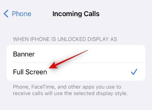 how-to-make-facetime-full-scren-3