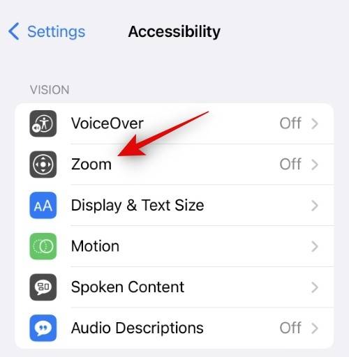 how-to-make-facetime-full-scren-5