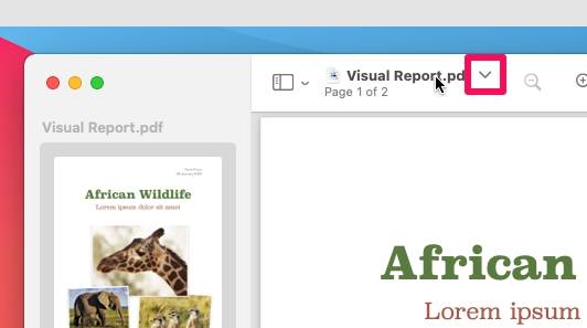 how-to-move-files-folders-mac-6