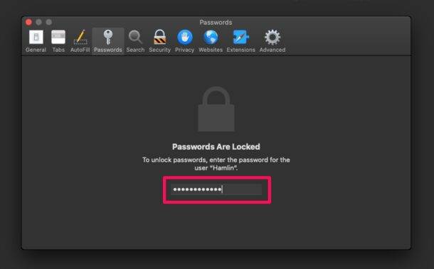 how-to-view-passwords-safari-mac-4-610x379-1