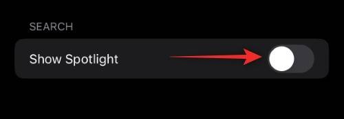 ios-16-spotlight-search-shortcut-home-screen-3 ios-16-spotlight-search-shortcut-home-screen-3