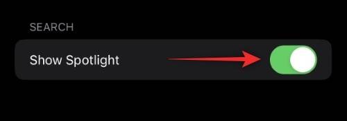 ios-16-spotlight-search-shortcut-home-screen-4 ios-16-spotlight-search-shortcut-home-screen-4