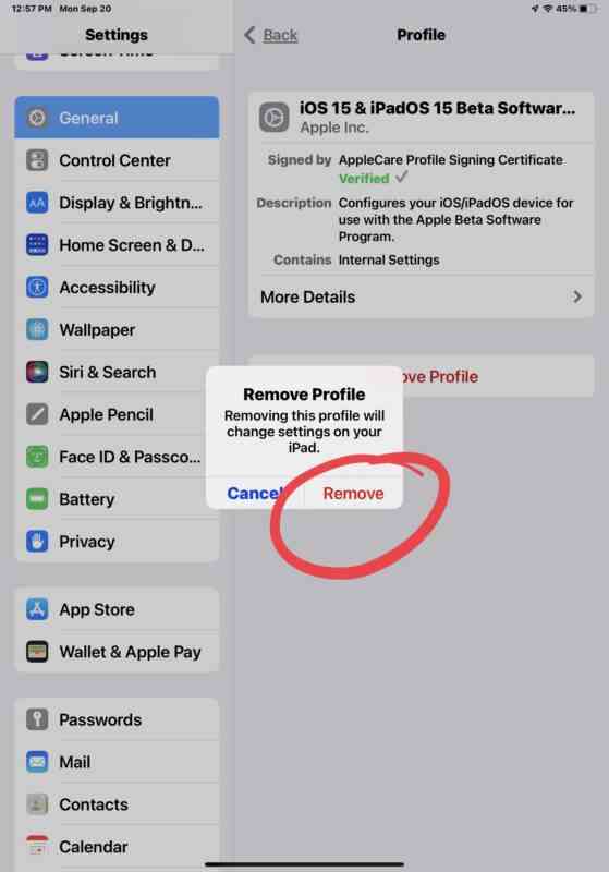 leave-ios-15-beta-remove-beta-profile-iphone-ipad-2-559x800-1 leave-ios-15-beta-remove-beta-profile-iphone-ipad-2-559x800-1