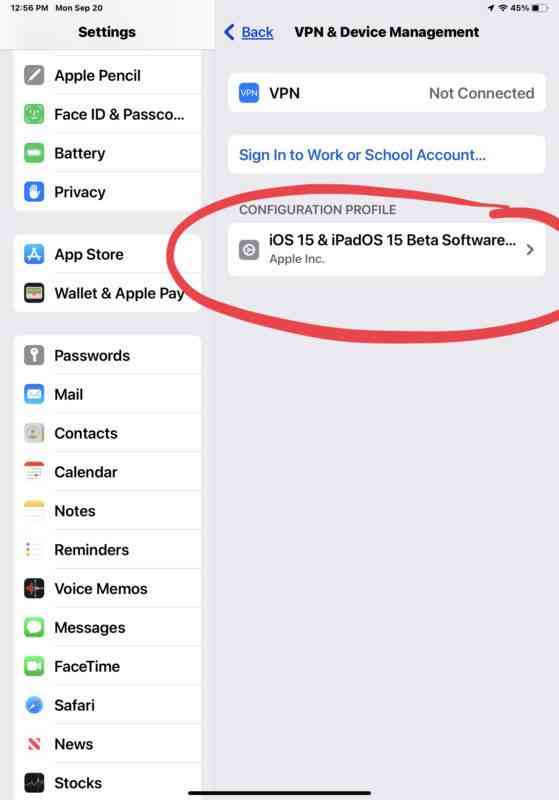 leave-ios-15-beta-remove-beta-profile-iphone-ipad-4-559x800-1 leave-ios-15-beta-remove-beta-profile-iphone-ipad-4-559x800-1