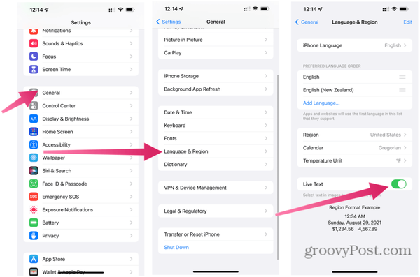 live-text-language-2