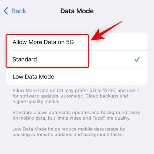 notification-badges-missing-fixes-16-1