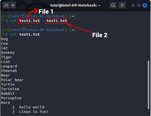 overwrite_file_cat